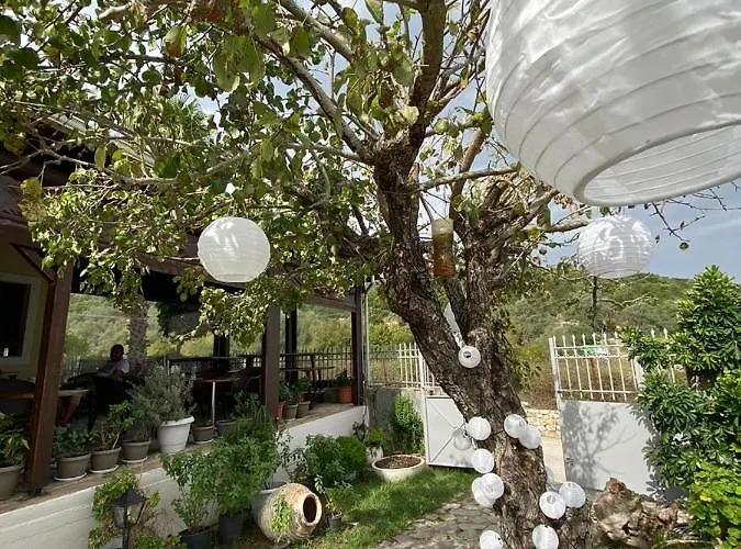 Mistral Boutique Guest house